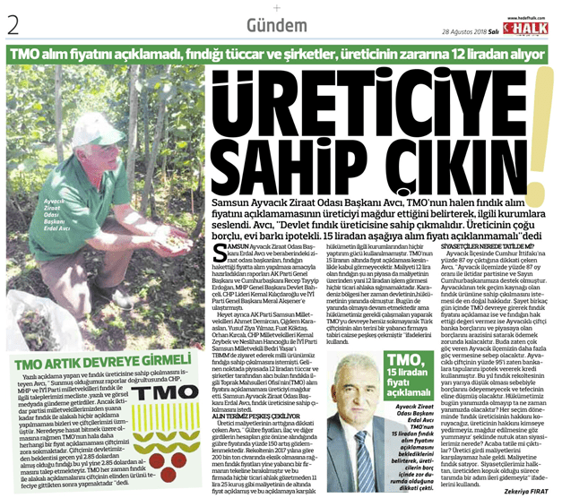 Samsun Ayvacık Ziraat Odası Başkanı Röportajı