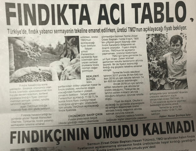 fındıkta acı tablo