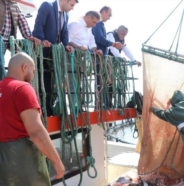 Samsun'da Türk Somonu hasadı