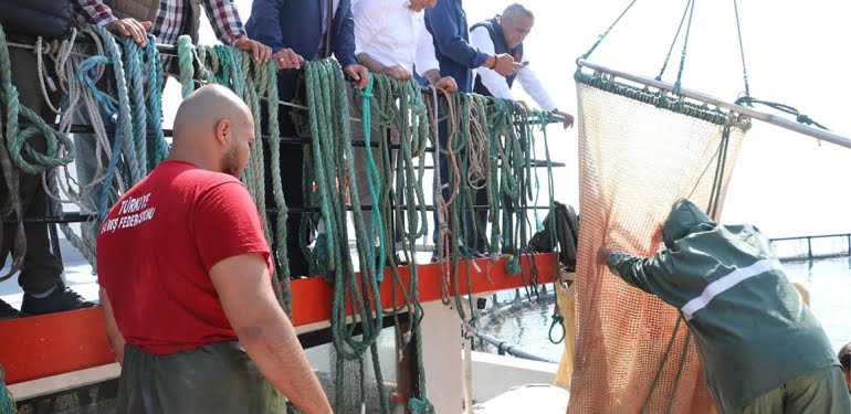 Samsun'da Türk Somonu hasadı