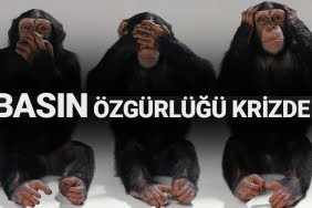 BASIN ÖZGÜRLÜĞÜ KRİZDE