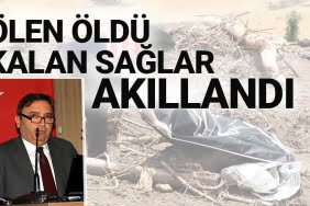 Ölen öldü kalan sağlar akıllandı