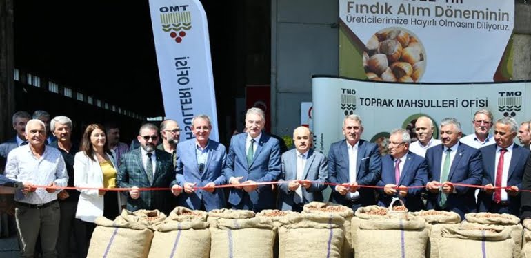 Sezonun ilk fındığını TMO aldı