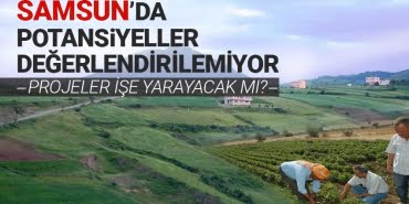 Tarımda potansiyeller değerlendirilemiyor  