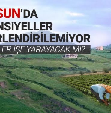 Tarımda potansiyeller değerlendirilemiyor  