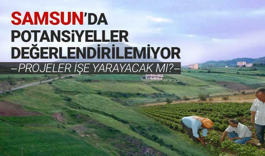Tarımda potansiyeller değerlendirilemiyor  