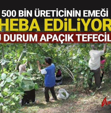 Fındık'ta dönen oyunların herkes farkında…