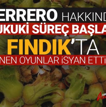 Fındıkta dönen oyunlar deşifre ediliyor