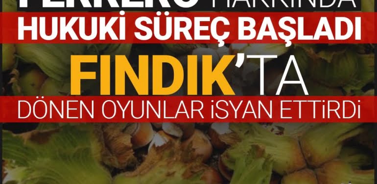 Fındıkta dönen oyunlar deşifre ediliyor