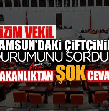 Bakanlık Samsun çiftçisini durumun 'sır' etti