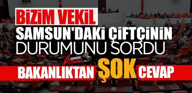 Bakanlık Samsun çiftçisini durumun 'sır' etti