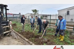 Tekkeköy daha da yeşillenecek