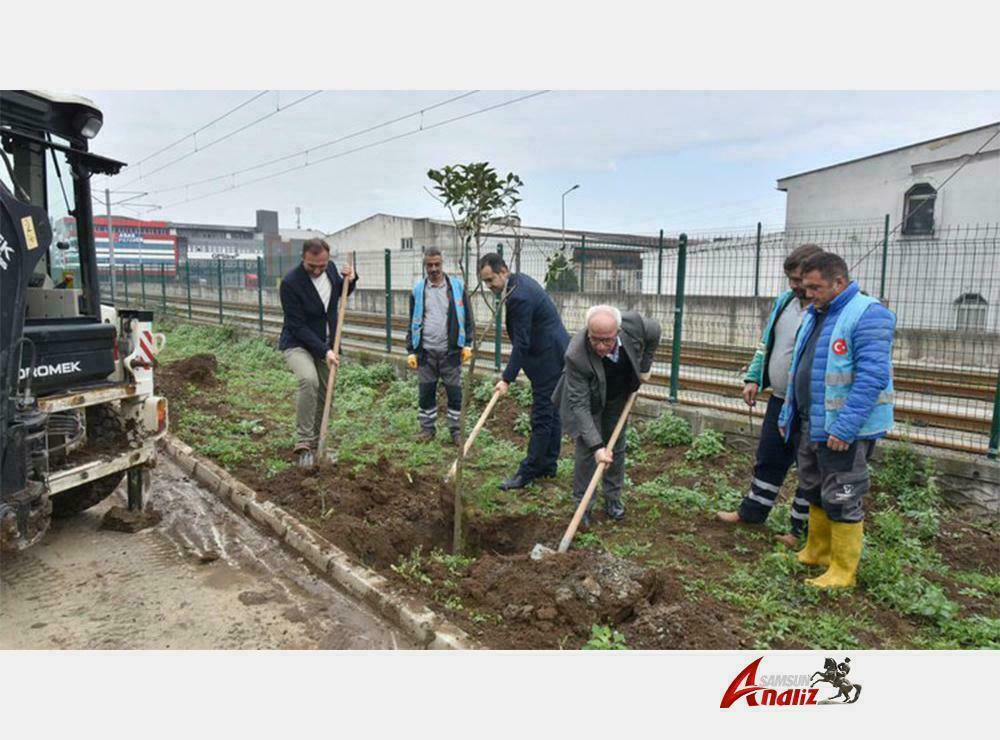 Tekkeköy daha da yeşillenecek