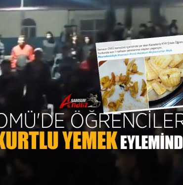 OMÜ'lü öğrencilerden 'kurtlu yemek' eylemi