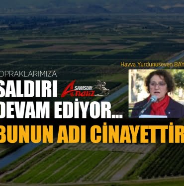 Samsun’da tarım topraklarına saldırı