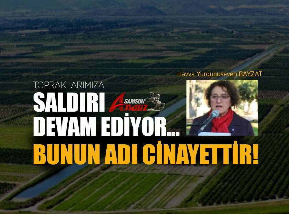 Samsun’da tarım topraklarına saldırı