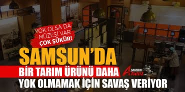 Samsun'da tütün üreticileri destek bekliyor