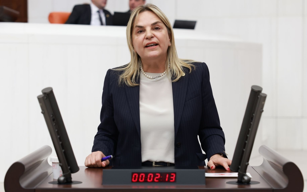 CHP Samsun Milletvekili Neslihan Hancıoğlu