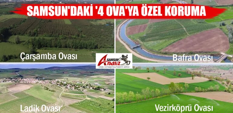 Samsun'daki 4 Ova'ya özel koruma