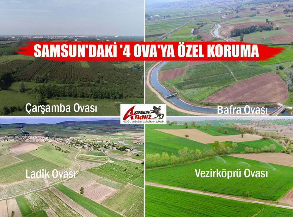 Samsun'daki 4 Ova'ya özel koruma
