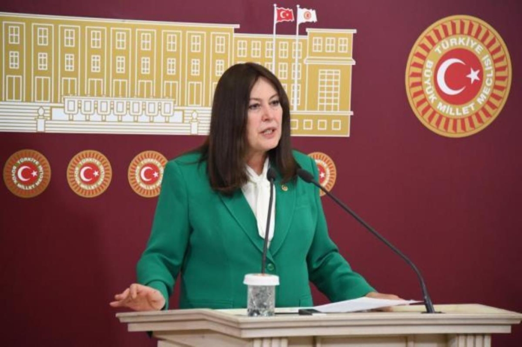 İYİ Parti Genel Başkan Yardımcısı Şenol Sunat