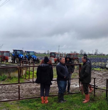 Davalık Hal Projesinde Çiftçilere İcra Şoku
