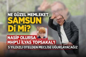 Memleketime Gökten Vekil Yağıyor