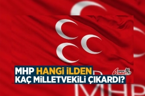 28. Dönem MHP Milletvekili Sayısı