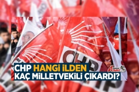 28. Dönem CHP Milletvekili Sayısı