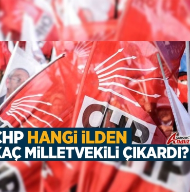 28. Dönem CHP Milletvekili Sayısı