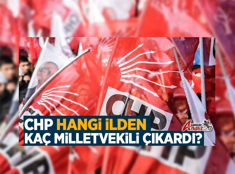 28. Dönem CHP Milletvekili Sayısı