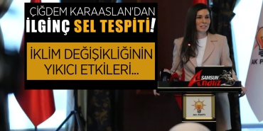 Karaaslan'dan Sellerin Yaşandığı Günlerde İlginç Tespit