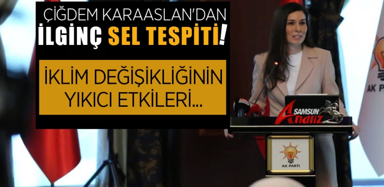 Karaaslan'dan Sellerin Yaşandığı Günlerde İlginç Tespit