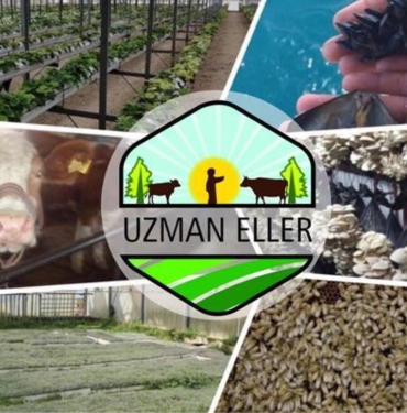 Samsun'da Kırsalda Kalkınma Hamlesi!