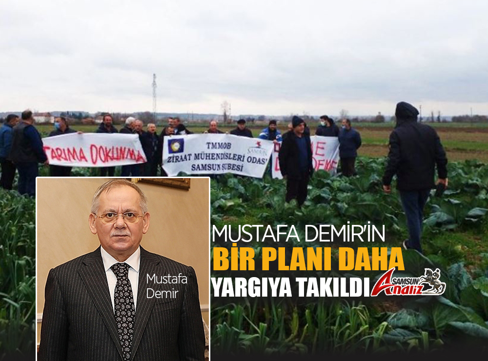 Büyükşehir'in Hal Projesi de Yargıya Takıldı