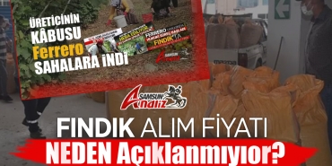 Fındık Alım Fiyatı Hâlâ Açıklanmadı!