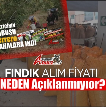 Fındık Alım Fiyatı Hâlâ Açıklanmadı!