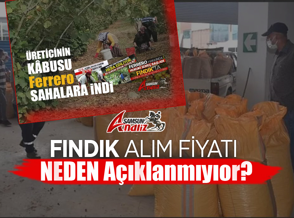 Fındık Alım Fiyatı Hâlâ Açıklanmadı!