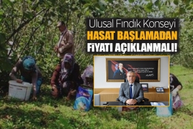 Fındık Alım Fiyatı Ne Zaman Açıklanacak