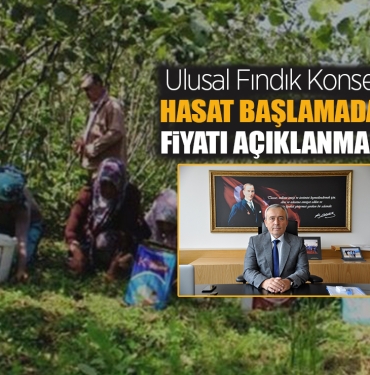 Fındık Alım Fiyatı Ne Zaman Açıklanacak