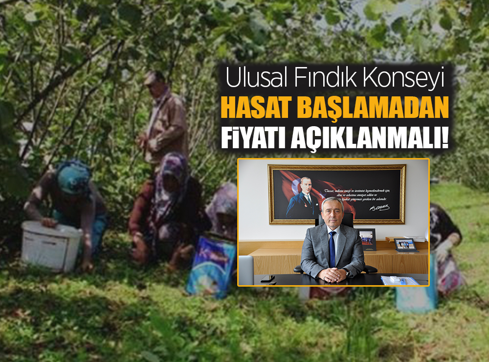 Fındık Alım Fiyatı Ne Zaman Açıklanacak