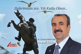 Hayati Tekin'den 30 Ağustos Zafer Bayramı Mesajı