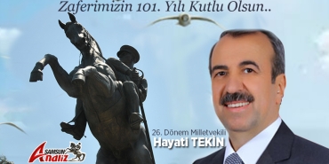 Hayati Tekin'den 30 Ağustos Zafer Bayramı Mesajı