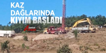 Kaz Dağları’nda Rant İçin Doğa Katliamı Başladı