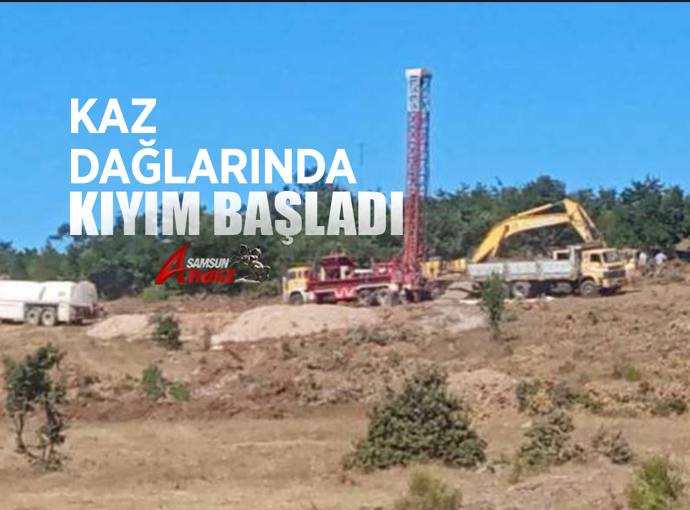 Kaz Dağları’nda Rant İçin Doğa Katliamı Başladı