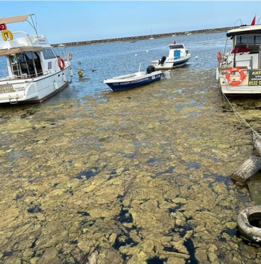 SBB, Kurupelit Yat Limanı'nı Temizlemiyor