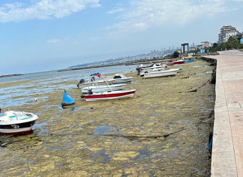 SBB, Kurupelit Yat Limanı'nı Temizlemiyor 