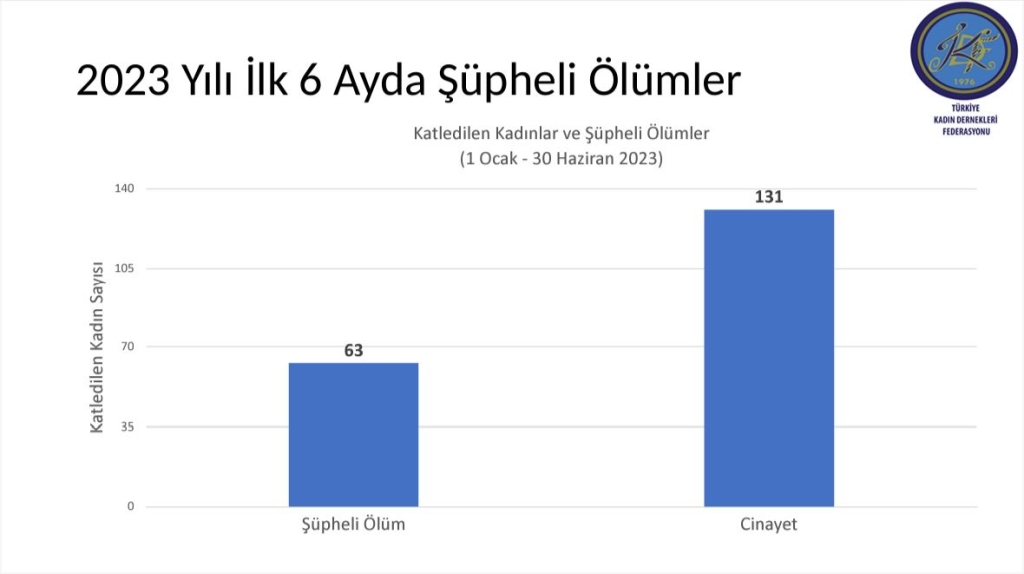 Kadın Cinayetleri 6 Aylık Rapor Yayında