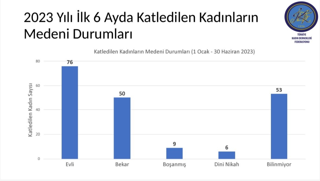 Kadın Cinayetleri 6 Aylık Rapor Yayında