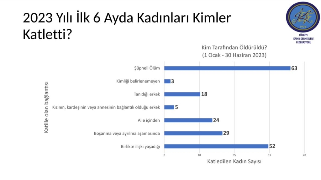 Kadın Cinayetleri 6 Aylık Rapor Yayında